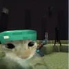 seloko_numconpensa