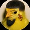 lisandro.rueda2