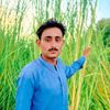 habib.allah84