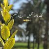 zoha.md