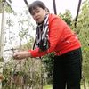 phuong.thuy710
