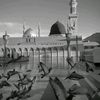 javeriarashid_77