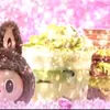 iyapotchii1