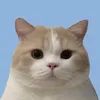 3ql_zsn