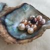 IMIXXpearls