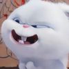 shixun.wu94