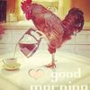 iki_rafa.srondeng