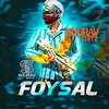 foycal.31