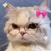 milzs_chan