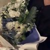 vell_844