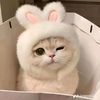 user123moe