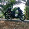 putra.bungsu4880