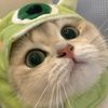 pie_mochi12