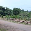 ada.yg.hilang