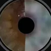 nono_sempreok