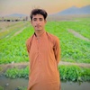 jameel____mengal