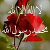 user4299400819094