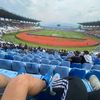 nesta_533
