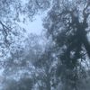 lost.alexk