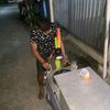 andra_45_