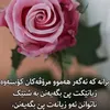 goran.goran556