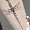 qin.zheng0