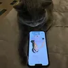 lindita_kertushaa0