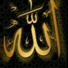 user1821324815521
