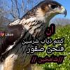 user8806797222884
