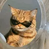 orangqqqqqq