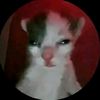 tinnxgo_xcr7