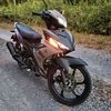jazle55