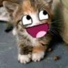 choconugget11