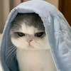 _mimimamomo_