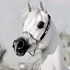 hamza05983