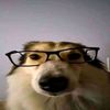 axelxd.0