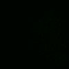 xerjofee_16031