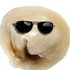 plmeshka6