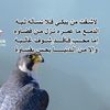 user1117627911953