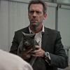 ratsinheaven37