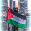 .ahmed.ali589