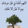 user6580276659827