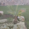 abdeljalak.esbihi