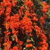 cong.tien.838689