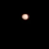 mg_nestor