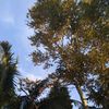 nur_anisa070