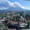 Dedy