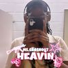 heavinsgalleryspamm