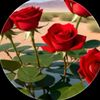 sujon.islam2744