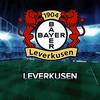 bayer.leverkusen32